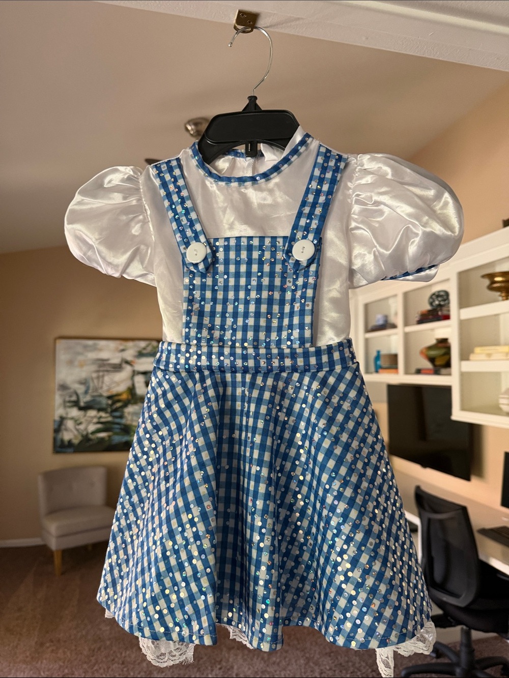 Blue Gingham Pinafore Dorothy Costume Dress with White Puff Sleeve Top
